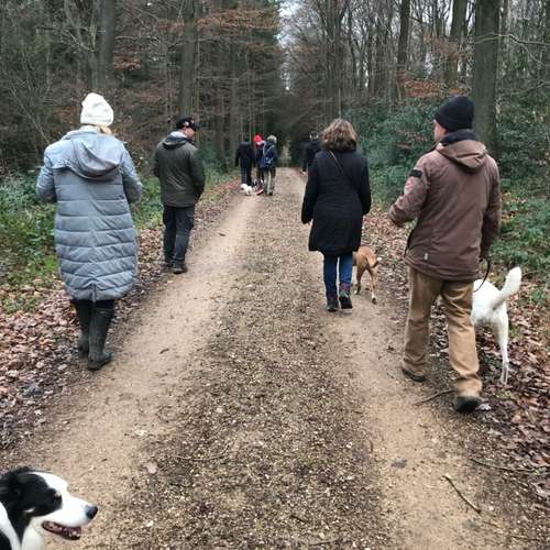 Hundeauslaufgebiet-Hundetraining Anja Baum-Bild
