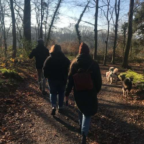 Hundeauslaufgebiet-Hundetraining Anja Baum-Bild