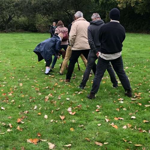 Hundeauslaufgebiet-Hundetraining Anja Baum-Bild