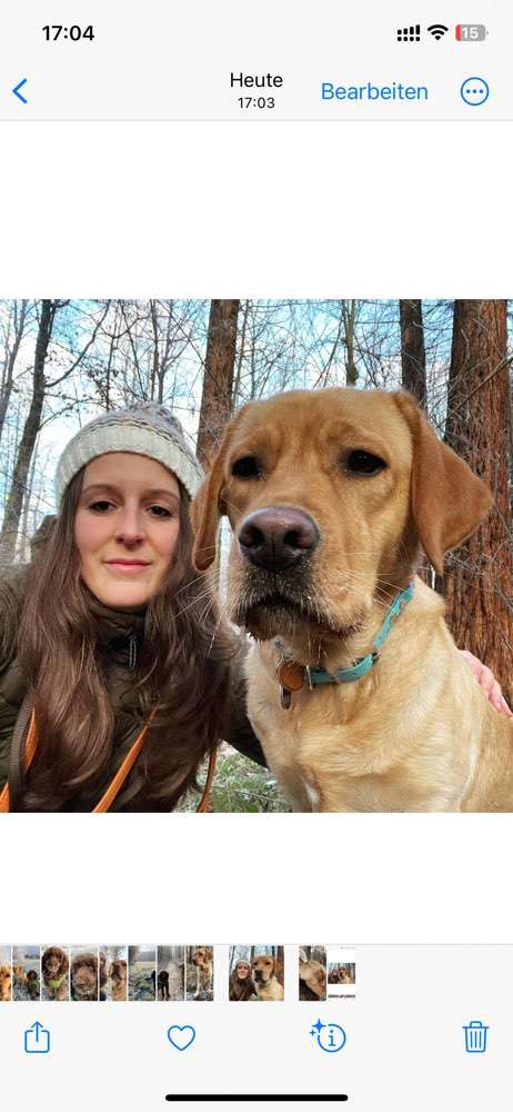 Hundeauslaufgebiet-Entdeckerpfoten-Bild