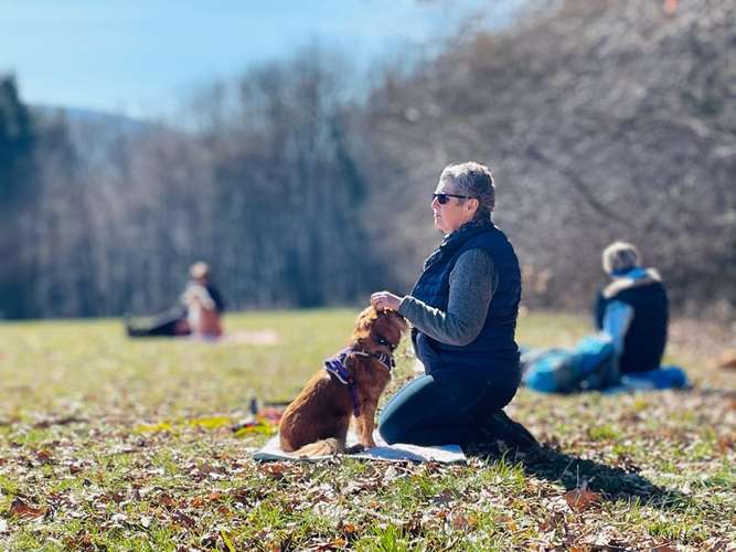 Hundeauslaufgebiet-Dog Organge-Bild