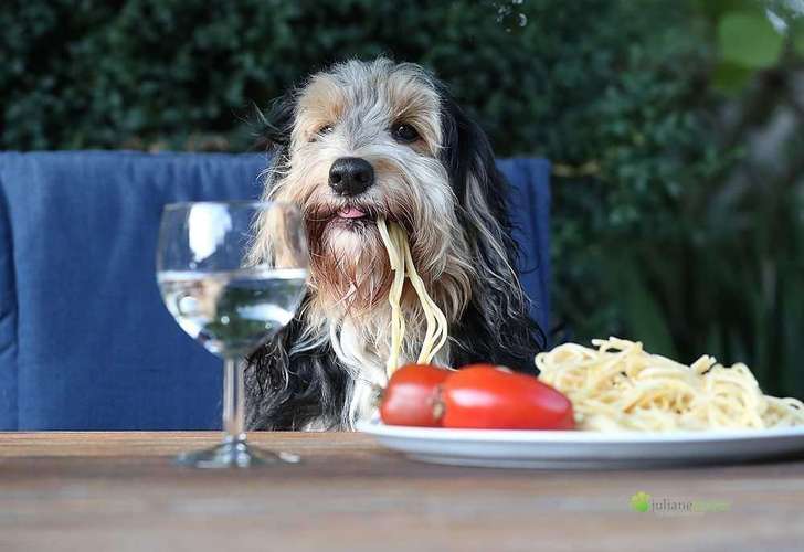 Hundeauslaufgebiet-Juliane Meyer-Bild