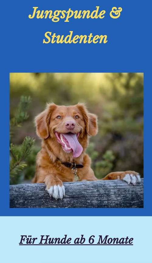 Hundeauslaufgebiet-Hundeschule Bunte Hundewelt-Bild