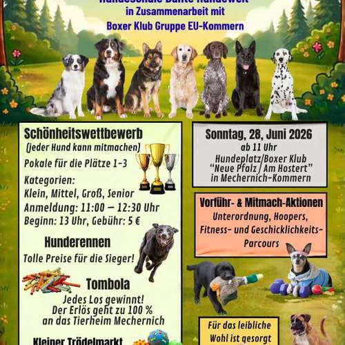 Hundeauslaufgebiet-Hundeschule Bunte Hundewelt-Bild