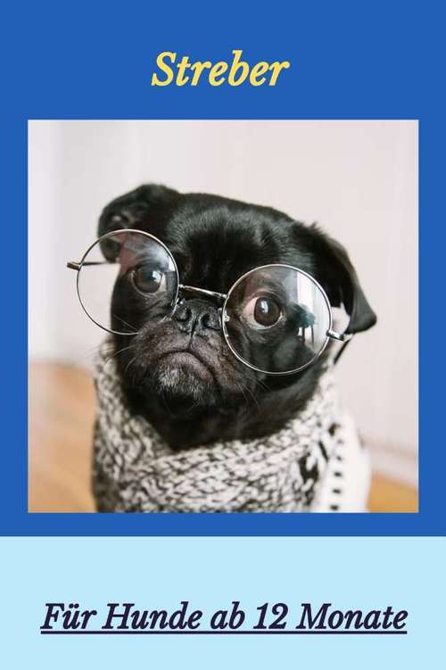 Hundeauslaufgebiet-Hundeschule Bunte Hundewelt-Bild