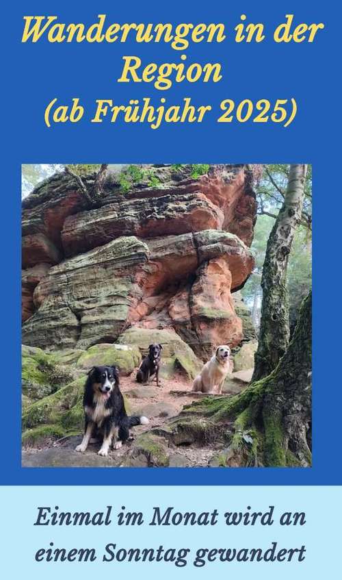 Hundeauslaufgebiet-Hundeschule Bunte Hundewelt-Bild