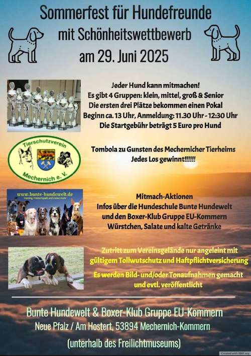 Hundeauslaufgebiet-Hundeschule Bunte Hundewelt-Bild