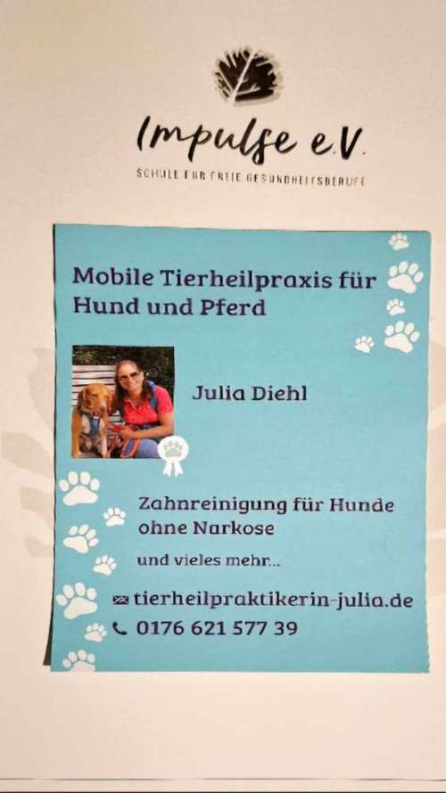 Hundeauslaufgebiet-Mobile Tierheilpraktikerin-Bild