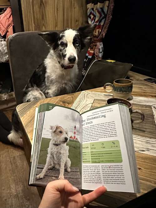Hundeauslaufgebiet-Der Hundling Shop GmbH-Bild