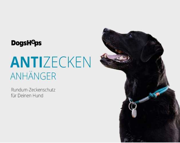 Hundeauslaufgebiet-DogsHops-Bild