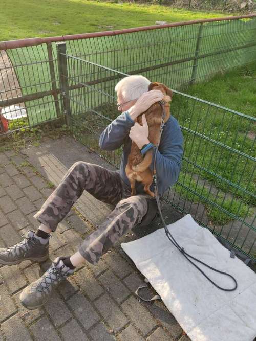 Hundeauslaufgebiet-Hundeverein Resse-Bild