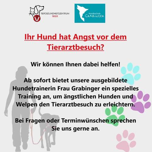 Hundeauslaufgebiet-Tiergesundheitszentrum Trier-Bild