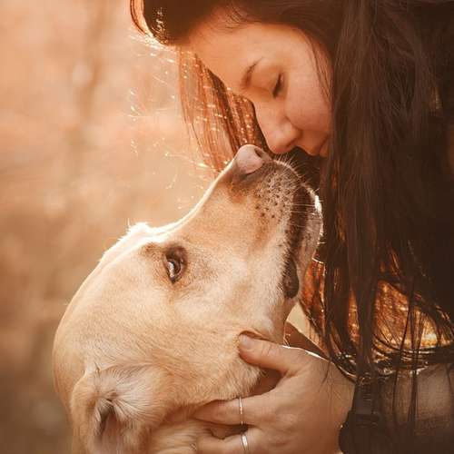 Hundeauslaufgebiet-Fellverliebt Fotografie | Janin-Bild