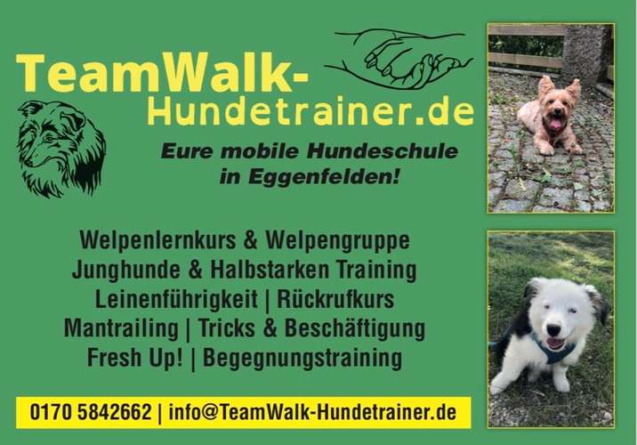 Hundeauslaufgebiet-TeamWalk-Hundetrainer-Bild