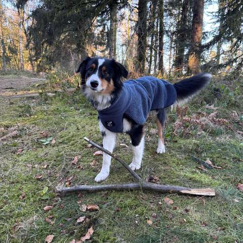 Hundeauslaufgebiet-Anne-Katrin Barth-Bild