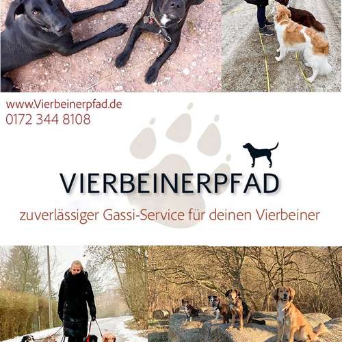 Hundeauslaufgebiet-Vierbeinerpfad-Bild