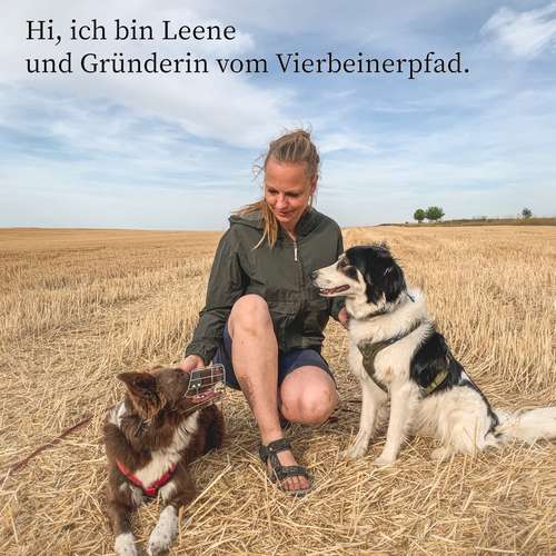Hundeauslaufgebiet-Vierbeinerpfad-Bild