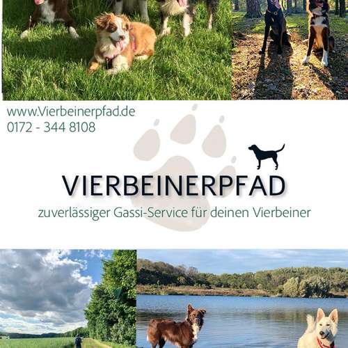 Hundeauslaufgebiet-Vierbeinerpfad-Bild