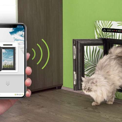 Hundeauslaufgebiet-Petwalk Solutions GmbH-Bild