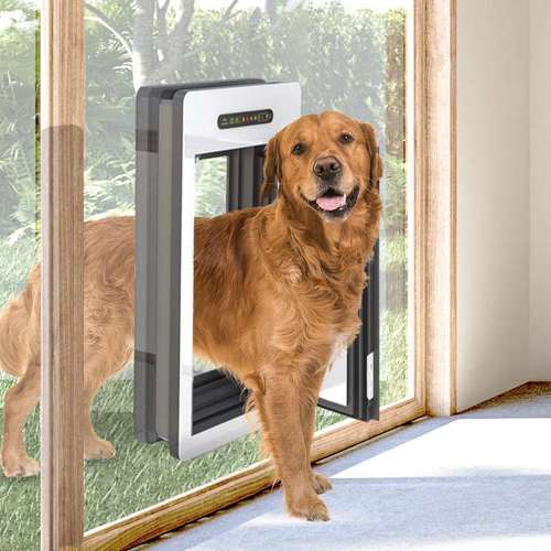 Hundeauslaufgebiet-Petwalk Solutions GmbH-Bild