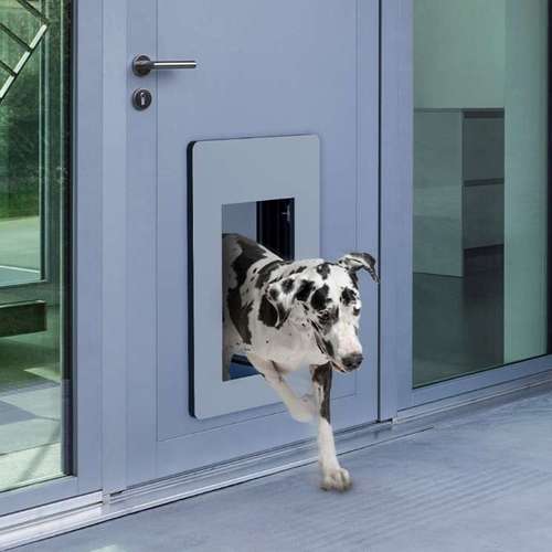 Hundeauslaufgebiet-Petwalk Solutions GmbH-Bild