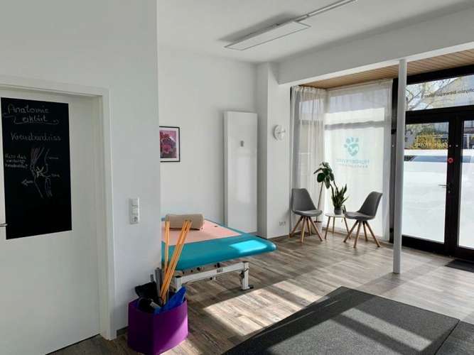 Hundeauslaufgebiet-Hundephysio Bewegungszeit-Bild