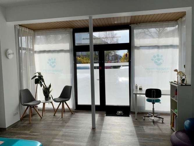 Hundeauslaufgebiet-Hundephysio Bewegungszeit-Bild