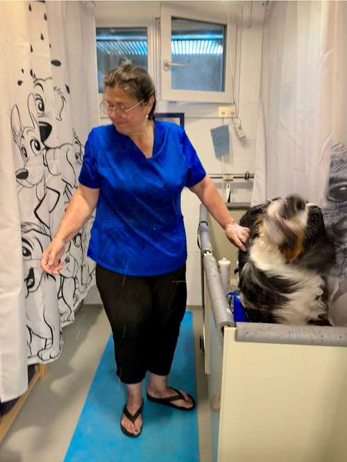 Hundeauslaufgebiet-Belcanis Hunde-Katzenpflege-Bild