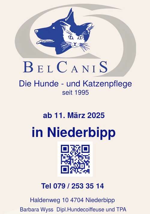 Hundeauslaufgebiet-Belcanis Hunde-Katzenpflege-Bild