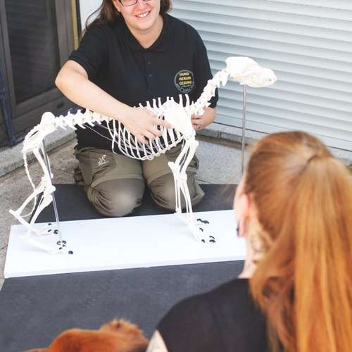 Hundeauslaufgebiet-Hundherumgesund bei Rebecca Gernert-Bild