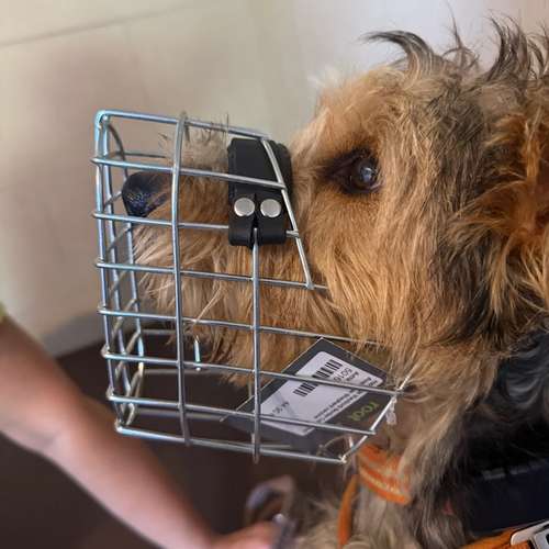 Hundeauslaufgebiet-Hundherumgesund bei Rebecca Gernert-Bild