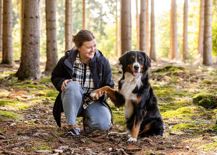 Hundeauslaufgebiet-aika Hundetraining-Bild