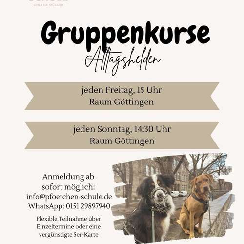Hundeauslaufgebiet-Pfötchen-Schule Chiara Müller-Bild