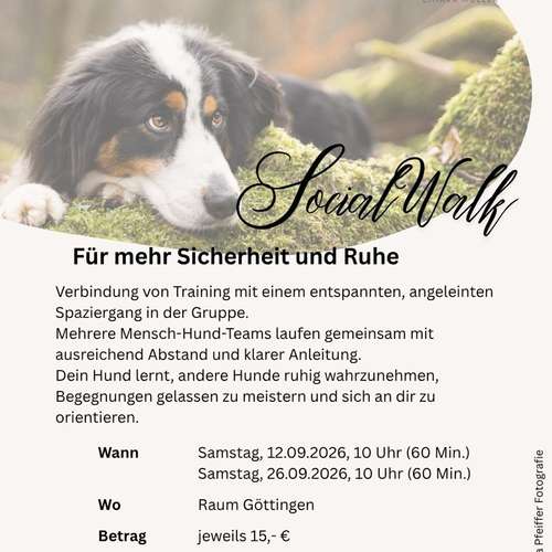 Hundeauslaufgebiet-Pfötchen-Schule Chiara Müller-Bild