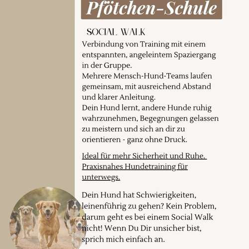 Hundeauslaufgebiet-Pfötchen-Schule Chiara Müller-Bild