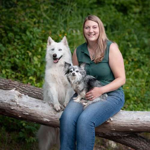 Hundeauslaufgebiet-Silke´s Dog Service-Bild