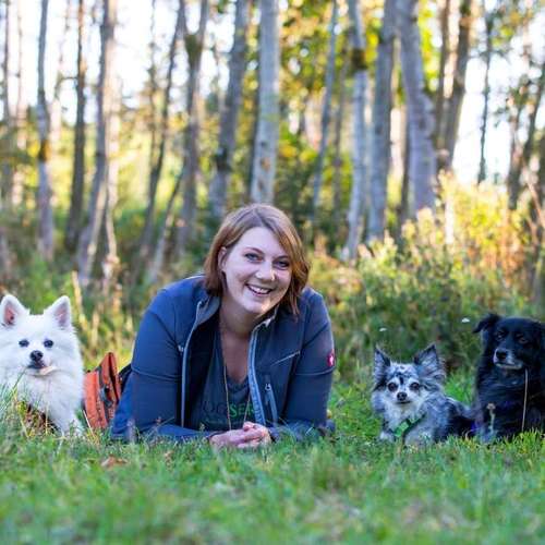 Hundeauslaufgebiet-Silke´s Dog Service-Bild