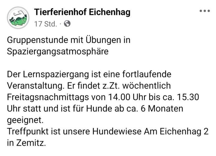 Hundeauslaufgebiet-Tierferienhof Eichenhag / Hundeschule-Bild