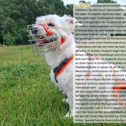 Hundeauslaufgebiet-Korbwerk Nordost-Bild