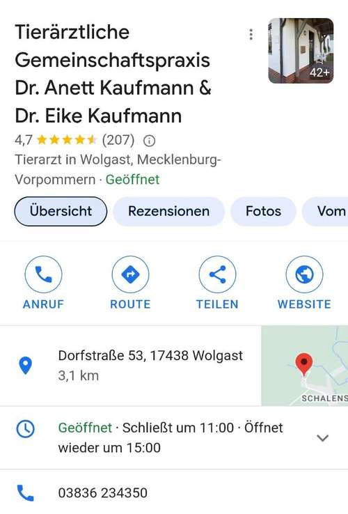 Hundeauslaufgebiet-Tierarzt Kaufmann-Bild