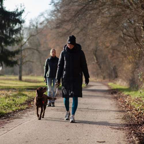 Hundeauslaufgebiet-STYRA® COACHING Simone Fabian-Bild