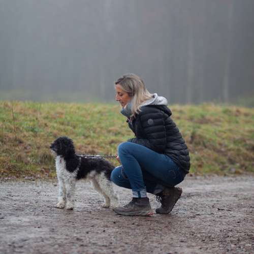 Hundeauslaufgebiet-STYRA® COACHING Simone Fabian-Bild