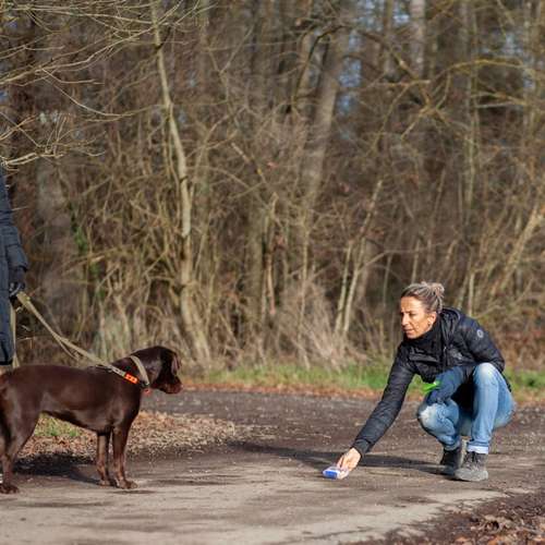 Hundeauslaufgebiet-STYRA® COACHING Simone Fabian-Bild