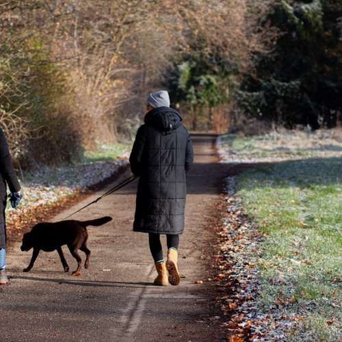 Hundeauslaufgebiet-STYRA® COACHING Simone Fabian-Bild