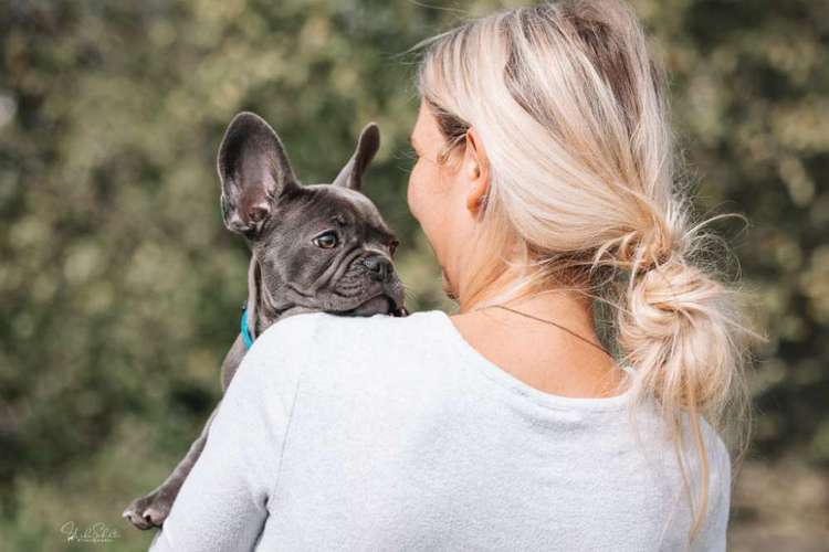 Hundeauslaufgebiet-Heike Schulte Fotografie-Bild