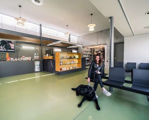 Hundeauslaufgebiet-Tierklinik Schwarzmann-Bild