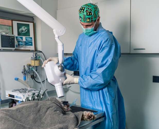 Hundeauslaufgebiet-Tierklinik Schwarzmann-Bild