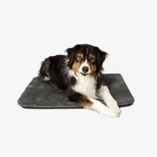 Hundeauslaufgebiet-Manuly GmbH-Bild