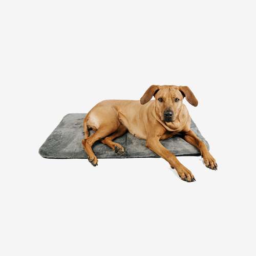 Hundeauslaufgebiet-Manuly GmbH-Bild