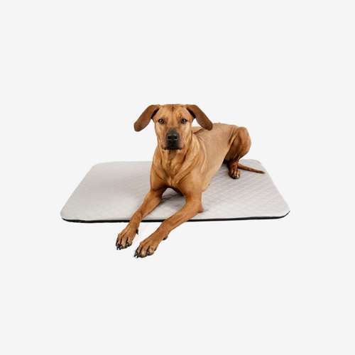 Hundeauslaufgebiet-Manuly GmbH-Bild